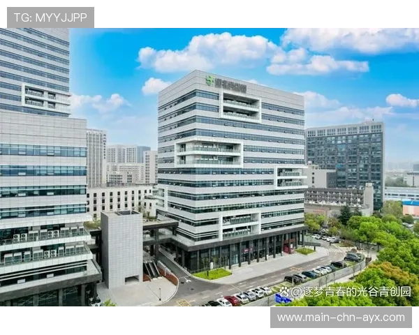 青年人才孵化器成为吸引投资新亮点 青年人才孵化器成为吸引投资新亮点
