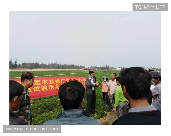 世界杯赛事志愿者培训体系建设建议 世界杯赛事志愿者培训体系建设建议