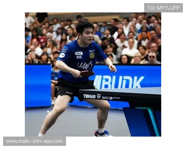 樊振东回归训练,强度堪比地狱级 樊振东回归训练,强度堪比地狱级