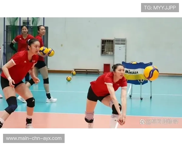 女排发球战术太精准：揭示胜利背后的秘密武器